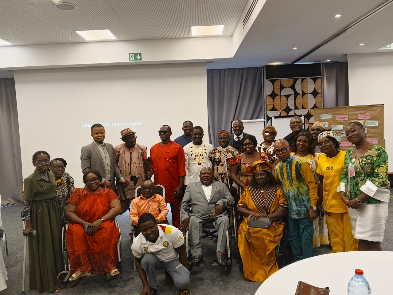 Conference room group photograph: about twenty-two people across the frame in vivid Cameroonian dress. Two wheelchair users and a crutch user in the front row, several people in dark glasses.