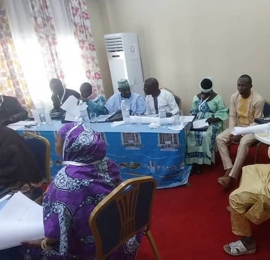 Delegates in session at an electoral stakeholder consultation in Cameroon.