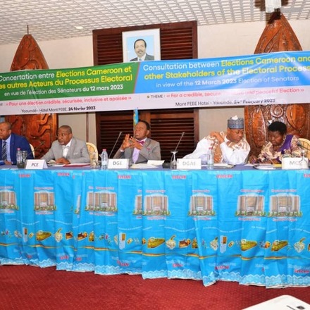 An ELECAM stakeholder consultation on inclusive elections, delegates seated at a draped table beneath the event banner.