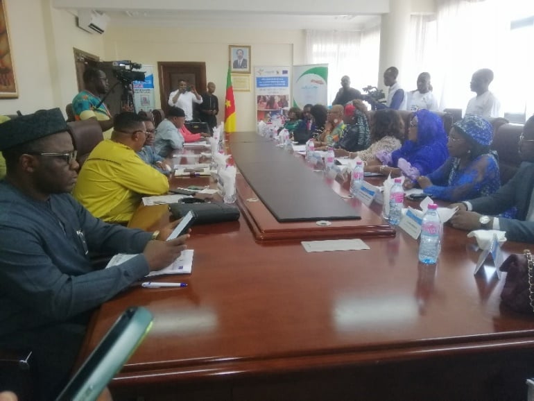 Long polished conference table with delegates down both sides, a speaker standing at the far end beneath a Cameroonian flag.